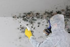 Best HVAC Mold Inspection and Cleaning  in West Allis, WI